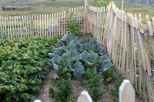 jardin potager légumes val thorens