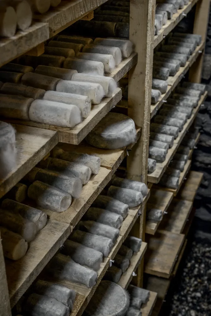 Chez Pépé Nicolas - Fromagerie 5