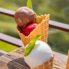 240627_ChezPepeNicolas_Terrasse_Restauration-L.Brochot-119