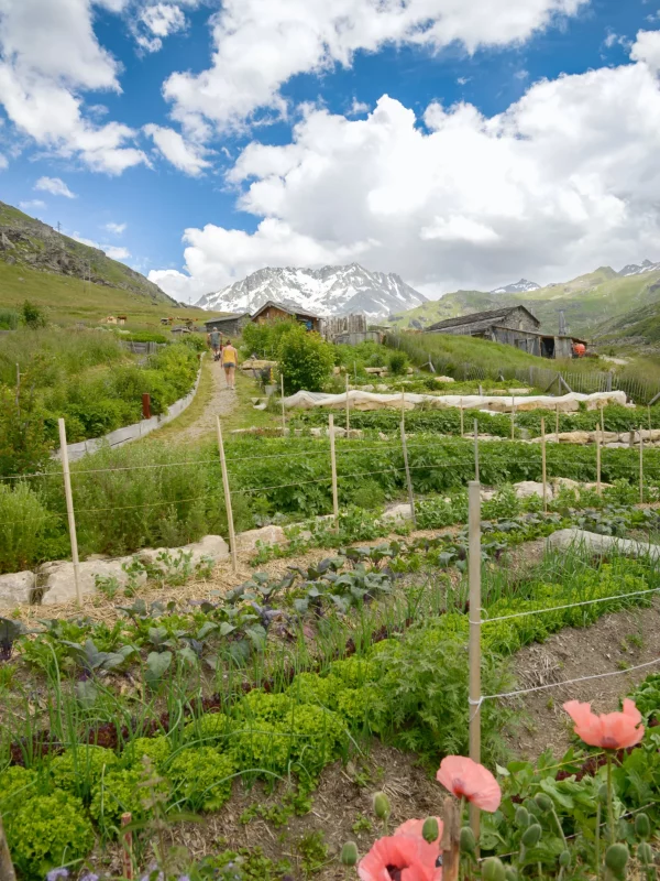 Chez Pépé Nicolas - Jardin 11