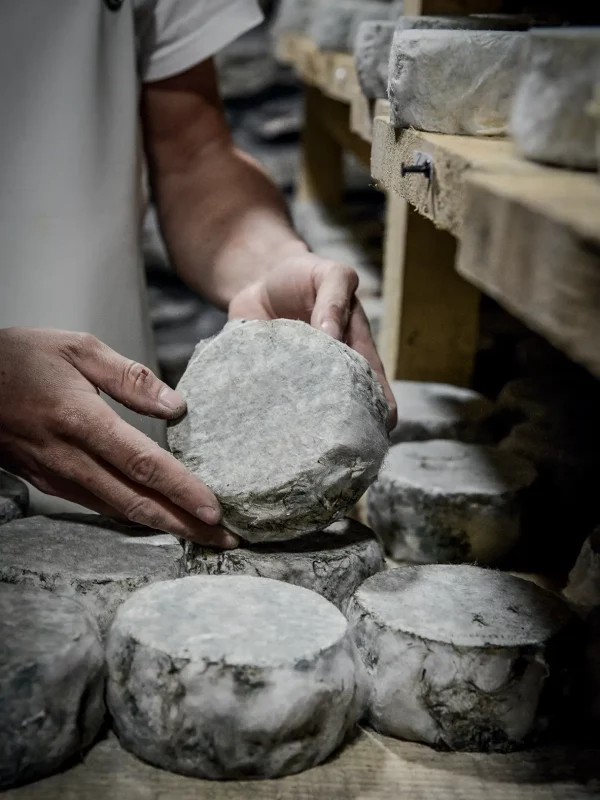 Chez Pépé Nicolas - Fromagerie 8