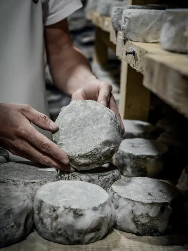 Chez Pépé Nicolas - Fromagerie 8