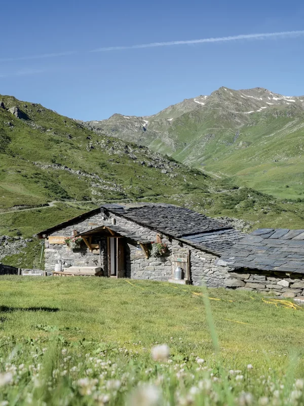 Chez Pépé Nicolas - Vallée des Belleville 3