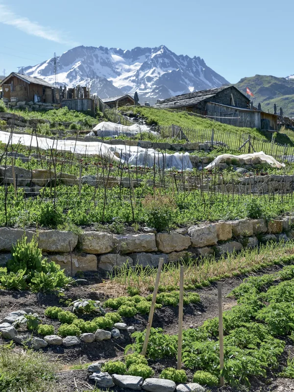 Chez Pépé Nicolas - Jardin 21