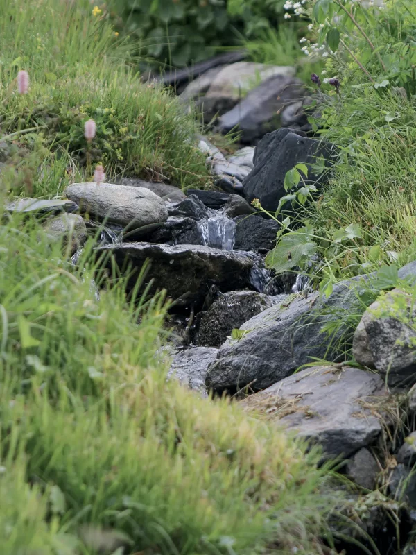Chez Pépé Nicolas - Jardin 19