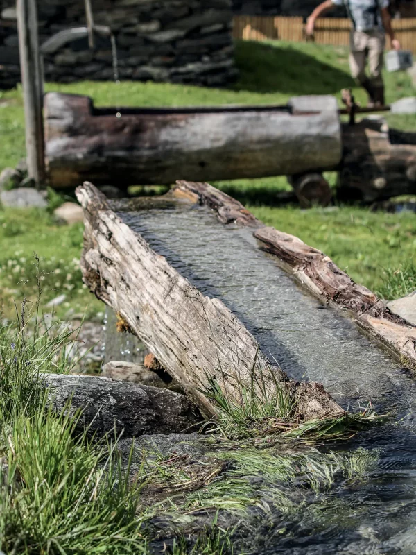 Chez Pépé Nicolas - Jardin 20